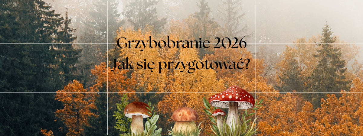 Grzybobranie 2026 - przygotuj się ze sklepem Militarny Bastion