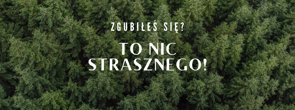 Co zrobić, gdy zgubisz się w lesie?